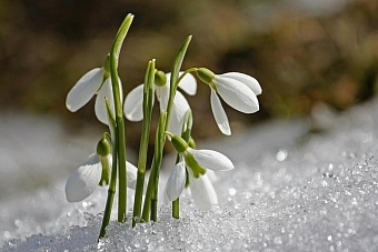 Стало известно, какая погода ожидается в Казахстане весной 2024