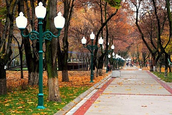 туман и потепление в узбекистане, дождь и снег в кыргызстане: погода в среду, 20 ноября 2024