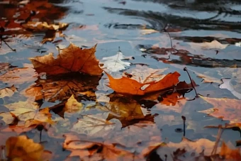 осадки и морозы до -7 градусов ожидаются в казахстане: погода во вторник, 24 сентября 2024