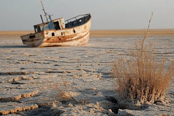 рэс-2026 в астане: региональным элитам надо учиться самостоятельно решать экологические проблемы