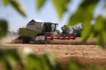 казахстан продлил запрет на ввоз пшеницы всеми видами транспорта