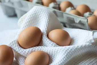 В Казахстане хотят запретить импортные яйца