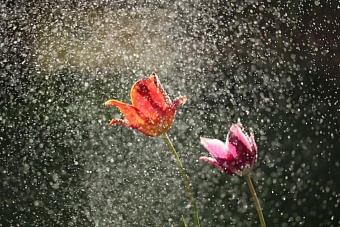 потепление и сильные осадки: погода в казахстане в субботу, 16 марта 2024