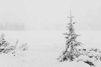 непогода разбушуется в казахстане в субботу и воскресенье, 14 и 15 декабря