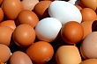 Казахстан вводит полугодовой запрет на ввоз яиц для поддержки местных производителей