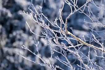 штормовое предупреждение и магнитная буря: что приготовила погода казахстану в понедельник, 5 февраля