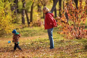 дожди и холод в узбекистане, без осадков в кыргызстане: погода в среду, 30 октября 2024