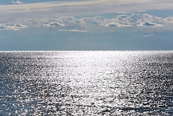 казахстанский нацпарк накажет своих сотрудников разрешивших купание дурова в озере