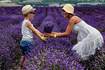 крымскую лаванду отправляют на экспорт в казахстан и белоруссию