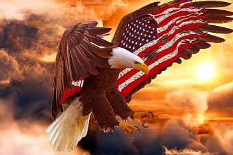 Говорит и показывает Госдеп: Центральная Азия встраивается в антироссийский информационный фронт 