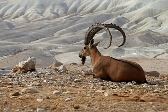 погода, в странах центральной азии, 7 сентября 2023 года: в алма-ате +24, в ташкенте +32