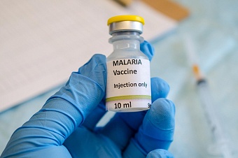 таджикистан признан страной, свободной от малярии