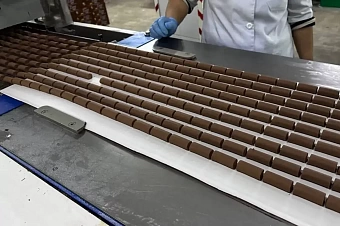 предприятия кыргызстана расширяют производство: российско-кыргызский фонд развития выделит $1 млн кондитерской фабрике «ата»