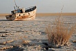 Высушить и стравить: как Запад готовит водный апокалипсис в Центральной Азии