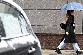 дожди и туман в узбекистане, местами дожди и снег в кыргызстане: погода в пятницу, 22 ноября 2024