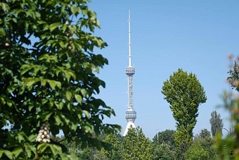 жара в узбекистане, дожди и грозы в кыргызстане: погода во вторник, 23 июля 2024