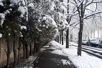 какой будет погода в странах центральной азии в пятницу, 17 января 2025