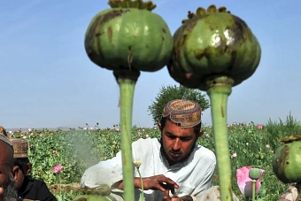 оон уличили во лжи: в афганистане назвали доклад чиновников этой организации безосновательным