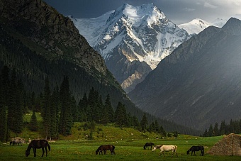 погода, в странах центральной азии, 1 июня 2023 года: в астане +31, в ташкенте +34