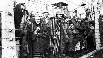 политик из германии призвала берлин признать геноцид советского народа