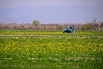 дожди и потепление: погода в странах центральной азии в пятницу, 5 апреля 2024