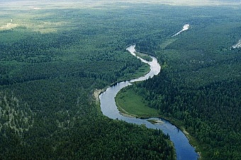 Поворот не туда: казахстанский депутат попросил Сибирь поделиться водой 