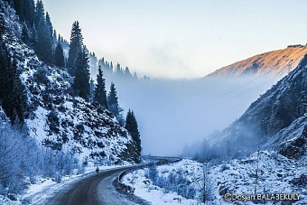 жителей узбекистана просят воздержаться от поездок в казахстан