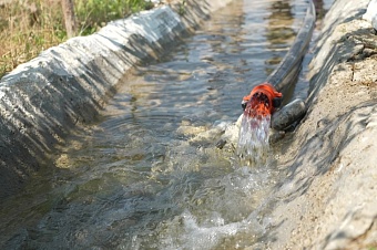 узбекистан перестраивает энергобаланс на фоне острого водного дефицита