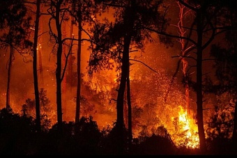 в казахстане с лесными пожарами будут бороться с помощью искусственного интеллекта