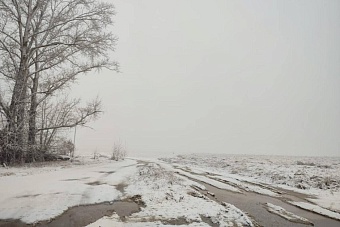 дождь, снег, гололед и туман ожидаются в казахстане: погода в среду, 30 октября 2024