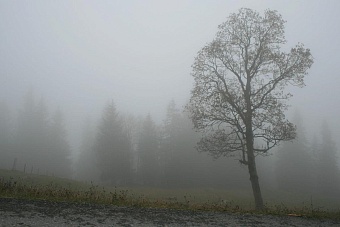 туман, грозы и штормовое предупреждение в казахстане: погода во вторник, 21 мая 2024