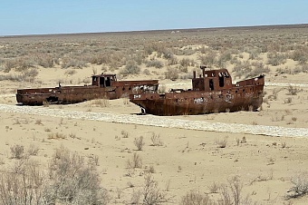 пустыню на месте аральского моря в узбекистане засеют саксаулом 