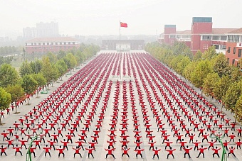 Почему китайские диаспоры в разных странах мира не смогут продвигать интересы Пекина