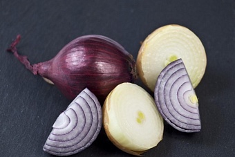 в минсельхозе казахстана рассказали сколько в стране осталось запасов лука