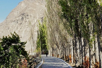 жара устанавливается в узбекистане, в кыргызстане - дожди: погода в центральной азии в понедельник, 13 мая 2024