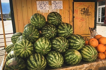 российские таможенники подсчитали, сколько арбузов из центральной азии завезли в сибирь