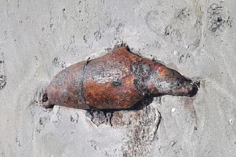 десятки мертвых тюленей обнаружены на побережье каспийского моря в казахстане