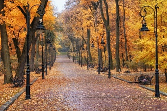 токаев анонсировал открытие сквера казахстанско-российской дружбы в москве