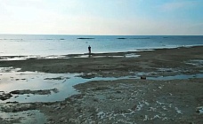 Экология для избранных: как экоактивисты «помогают» Западу уничтожать Каспий