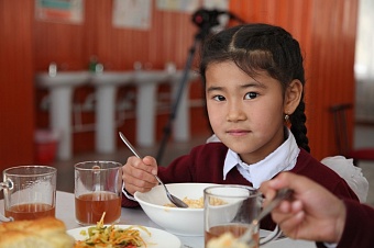 тасс: россия за 10 лет выделила $20 млн на питание для школьников киргизии