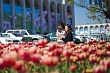 весенний день: погода в странах центральной азии в четверг, 11 апреля 2024