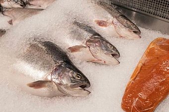 узбекистан дал добро: девяти российским поставщикам разрешили ввоз мяса и рыбы