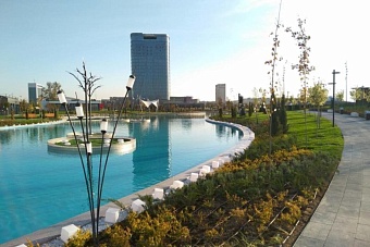 Более 200 млн деревьев высадят в Узбекистане в 2024 году