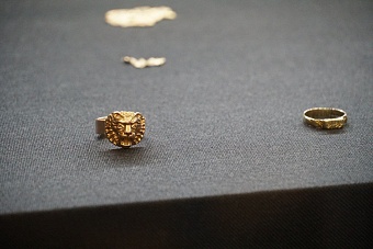 в казахстане задержаны 19 иностранцев за незаконную добычу золота