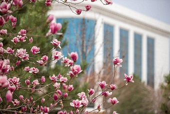 похолодание и дожди: погода в странах центральной азии в четверг, 21 марта 2024