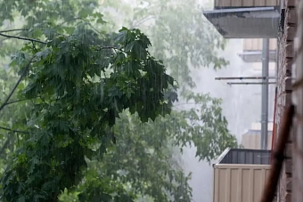 температура повысится в узбекистане, а в кыргызстане пройдут кратковременные дожди: погода в среду, 24 июля 2024