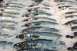десятки тысяч тонн российской рыбы поступят в 2024 году в узбекистан