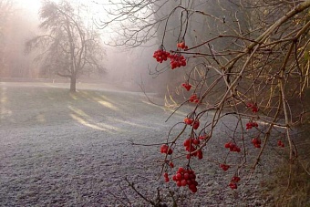 сильный ветер и заморозки накроют казахстан: погода во вторник, 17 сентября 2024