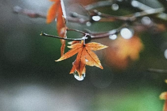 дожди и первые морозы идут в кыргызстан: погода на предстоящую неделю, 14-16 октября 2024