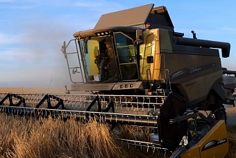 правительство казахстана выделит 116,7 млрд тенге на поддержку аграриев